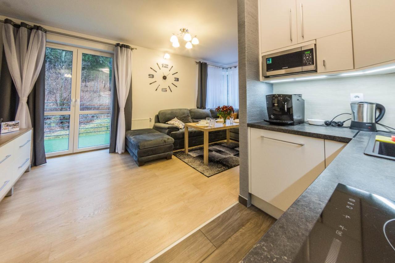 Apartamenty Izerskie - Ul. Cicha 13D-E Świeradów-Zdrój Extérieur photo